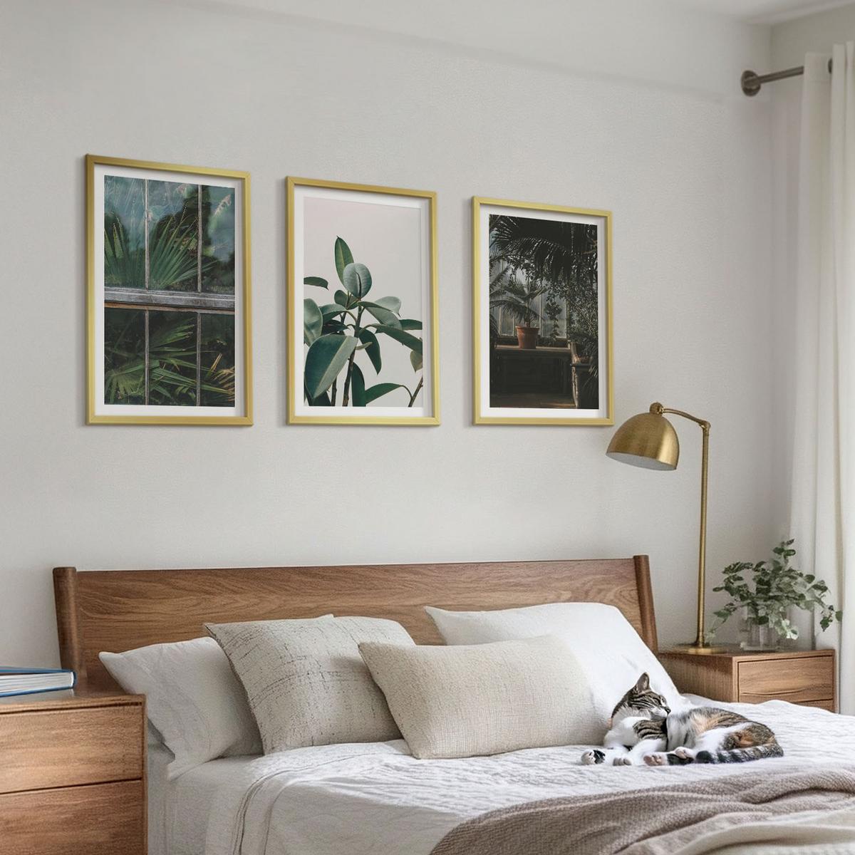 BILDER SET 3er Set - 40x60 cm Goldrahmen - Grüne Blätter an der Fensterpflanze - Goldfarben, Kunststoff (40/60cm) - TULUP