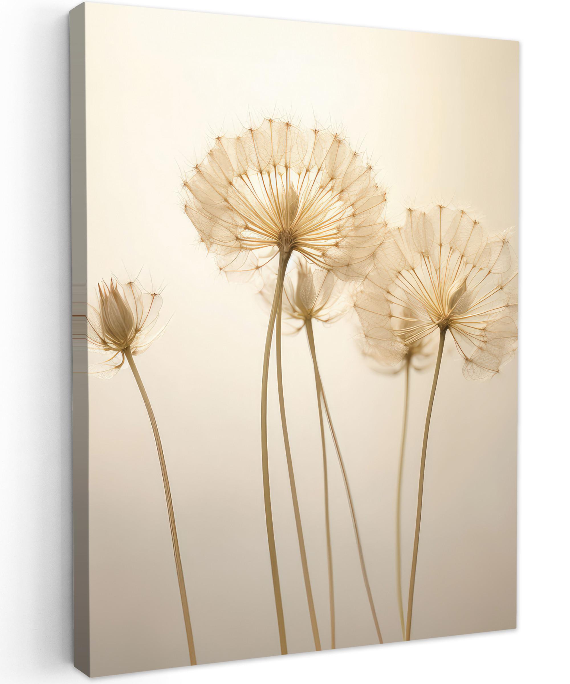 LEINWANDBILD Sonnenlicht - Löwenzahn - Botanisch - Blumen Room Decor 30x40 cm - Creme, Textil (30/40cm) - MuchoWow