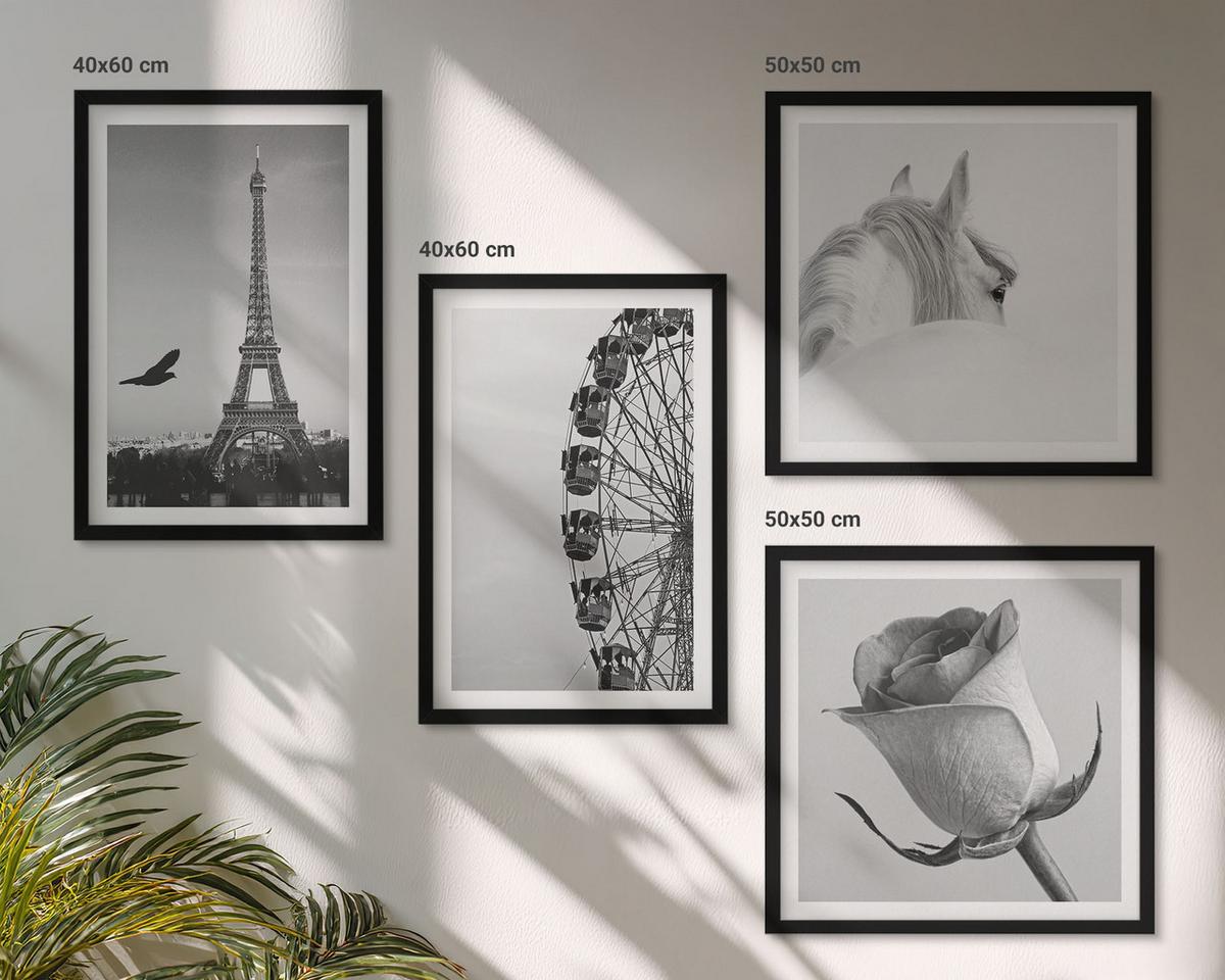 BILDER SET 4er Set - 50x50 cm & 40x60 cm Schwarzer Rahmen - Rose Eiffelturm Pferd Riesenrad S/W - Schwarz, Kunststoff (50/50cm) - TULUP
