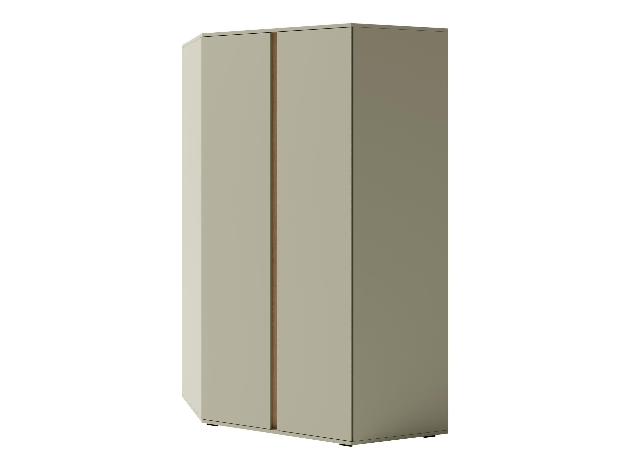 DREHTÜRENSCHRANK MURO 95/195/95cm 2-türig Grün - Grün, Holzwerkstoff (95/195/95cm) - MASSENO