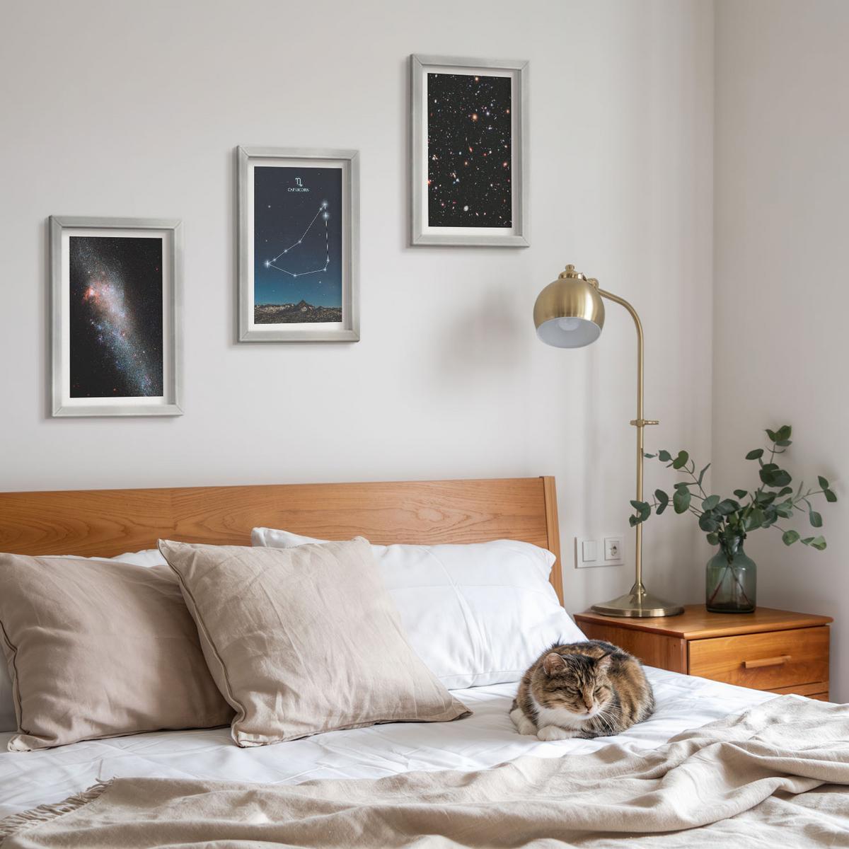 BILDER SET 3er Set - 20x30 cm Silberner Rahmen - Galaxie im Sternbild Steinbock - Silberfarben, Kunststoff (20/30cm) - TULUP