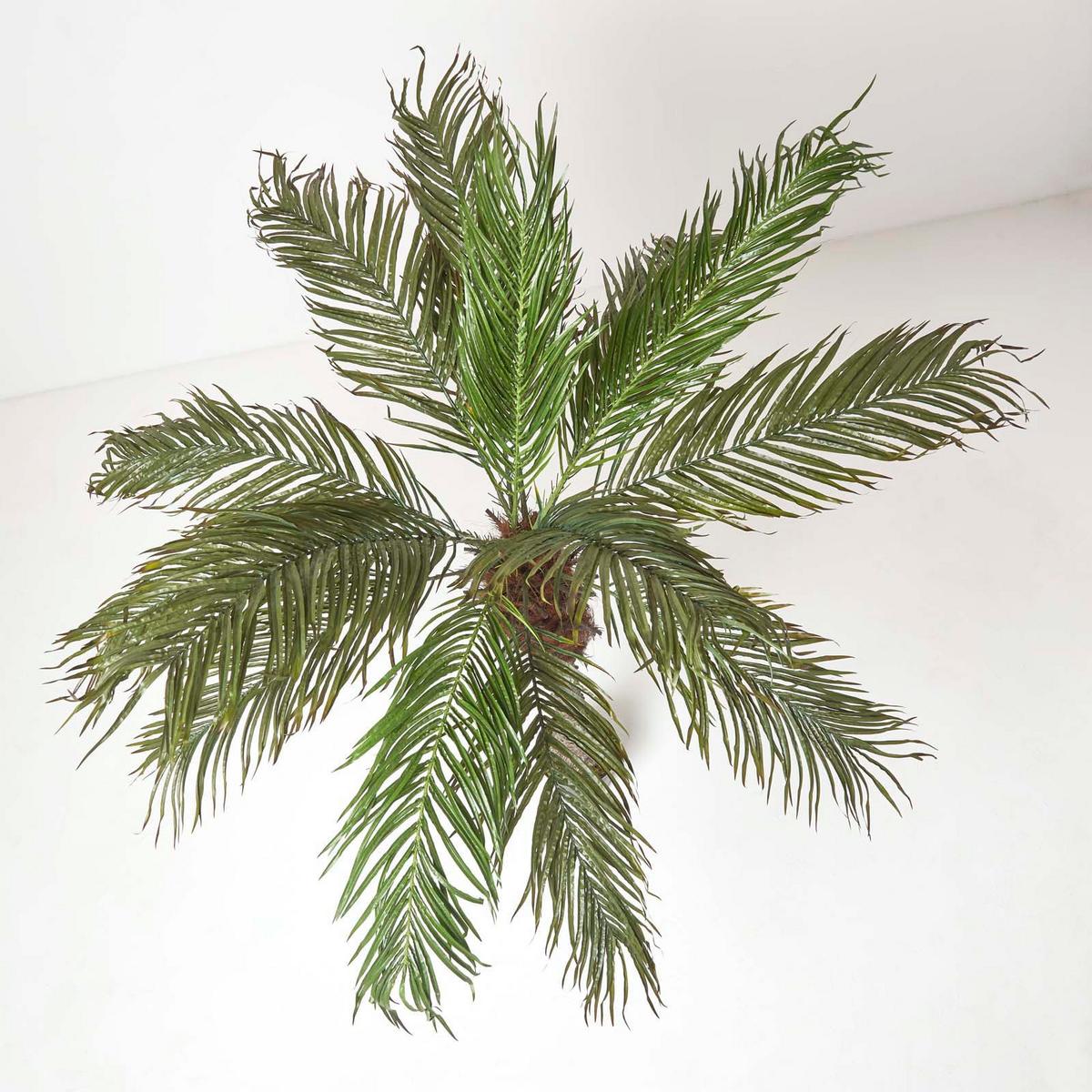 KUNSTPALME Phoenix, 160 cm - Grün, Kunststoff (160cm) - Homescapes