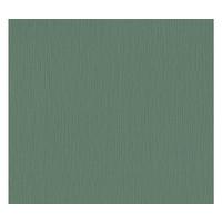 VLIESTAPETE Grün 53/1005 cm - Grün, Textil (53/1cm) - KUNSTLOFT