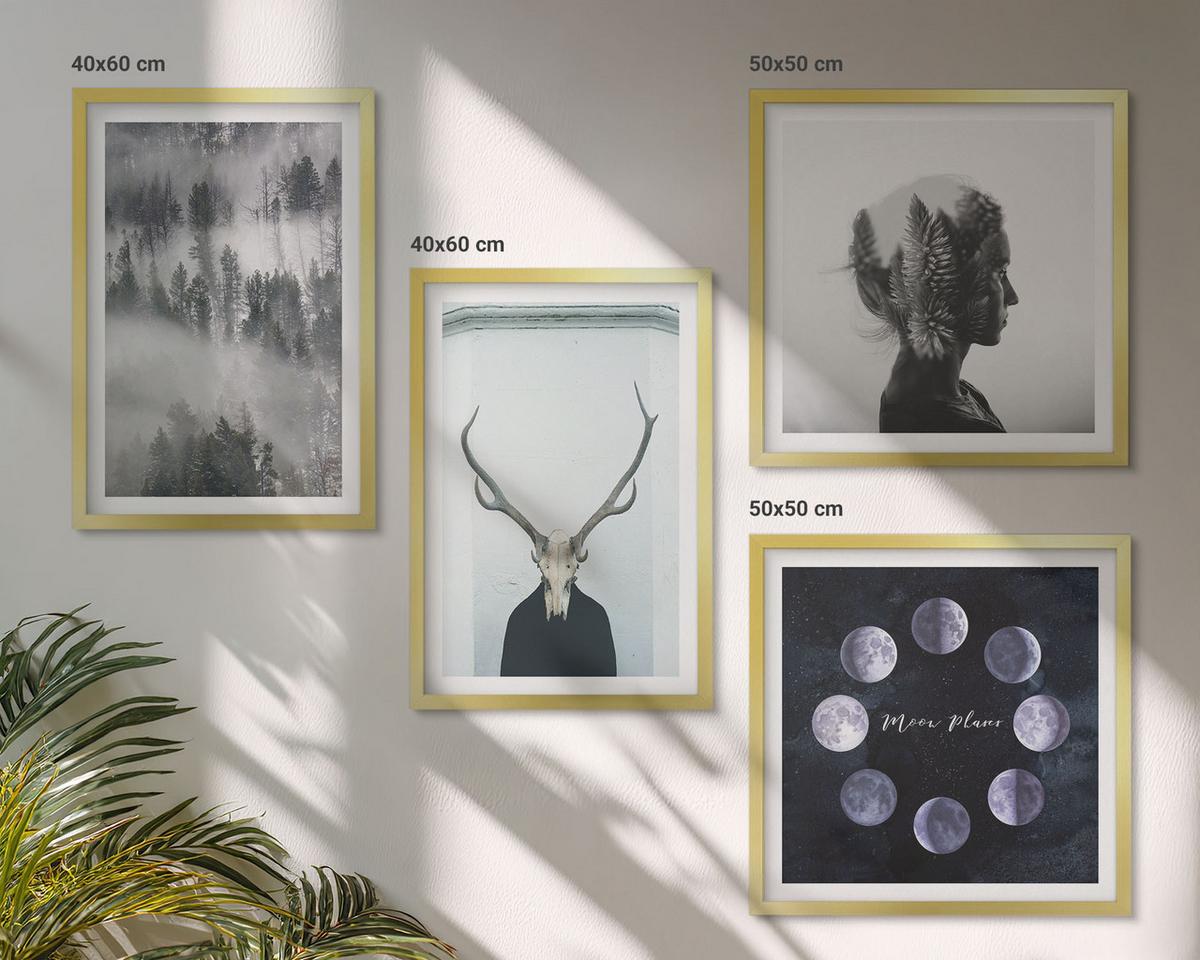 BILDER SET 4er Set - 50x50 cm & 40x60 cm Goldrahmen - Waldnebel, Mond, Schädel, Frau - Goldfarben, Kunststoff (50/50cm) - TULUP