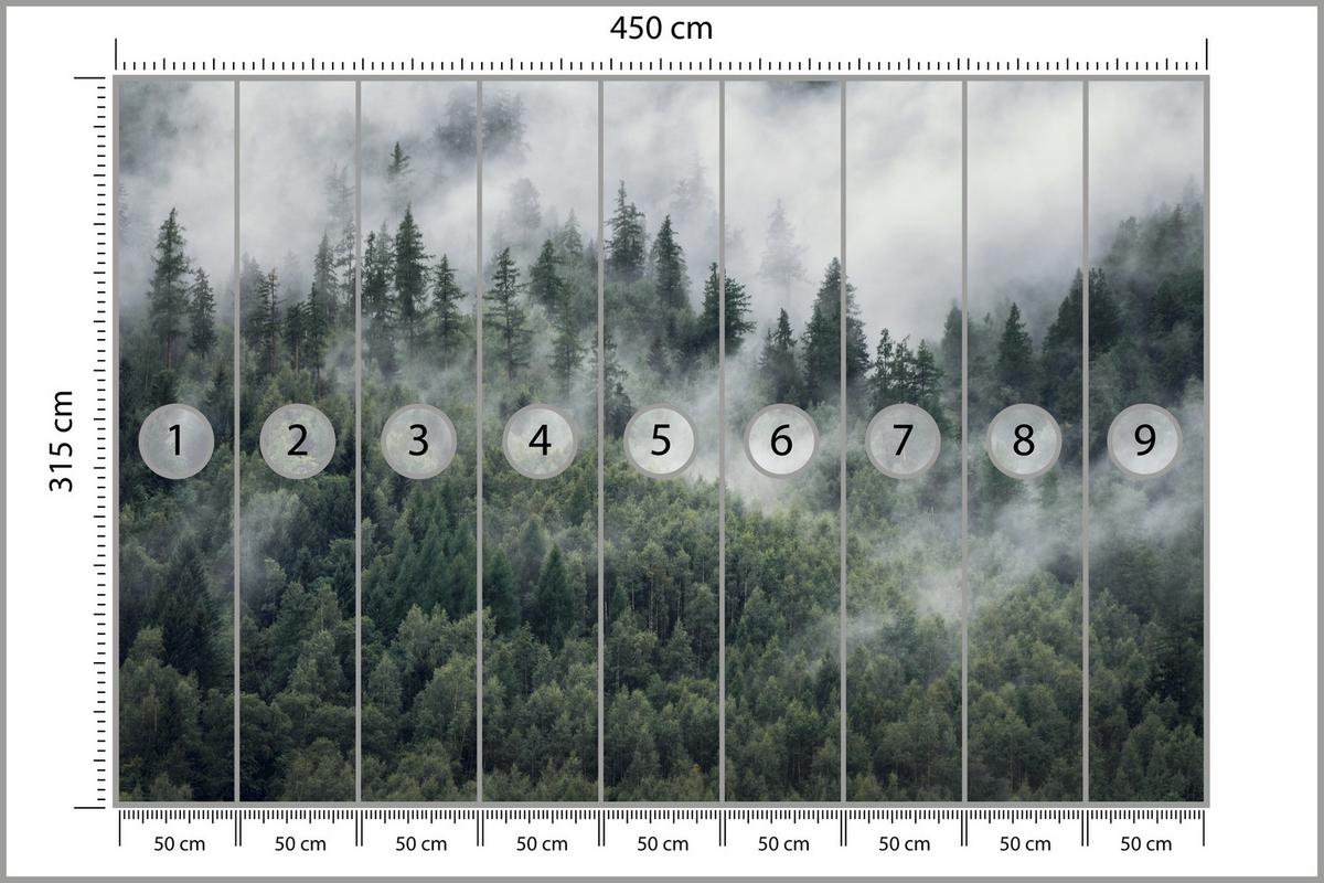 FOTOTAPETE für Schlafzimmer Morgennebel Nadelwald Bäume 450x315 - Weiß/Grau, Papier (450/315cm) - Muralo