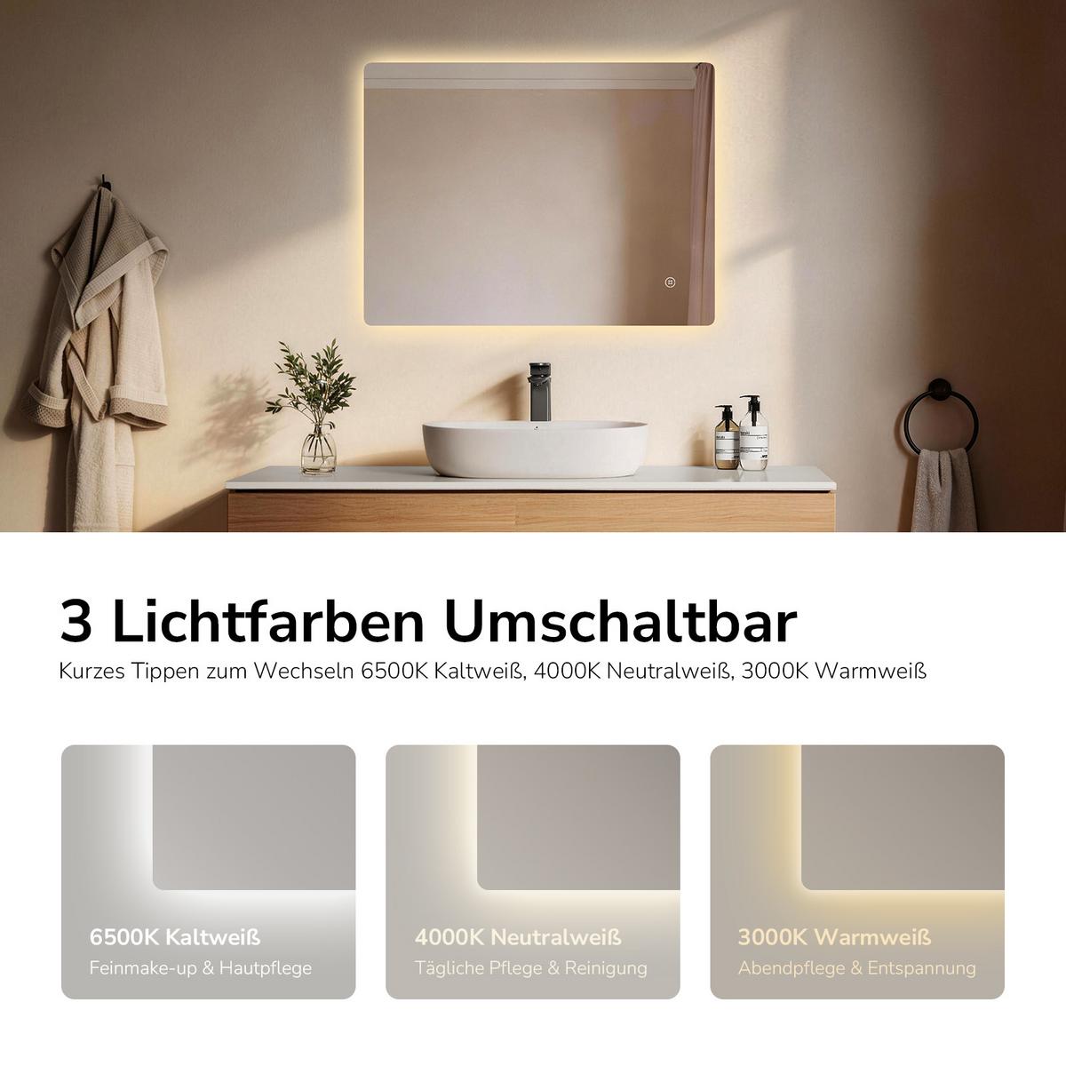 BADSPIEGEL LED abgerundet 3 Farbtemperaturen Touch-Schalter 80/60 cm - Transparent, Glas (80/60/3cm) - EMKE