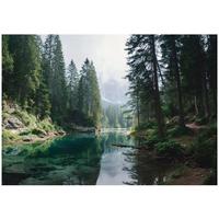 FOTOTAPETE Wald Bäume Grün 150x105 cm - Multicolor, Papier (150/105cm) - Wallarena