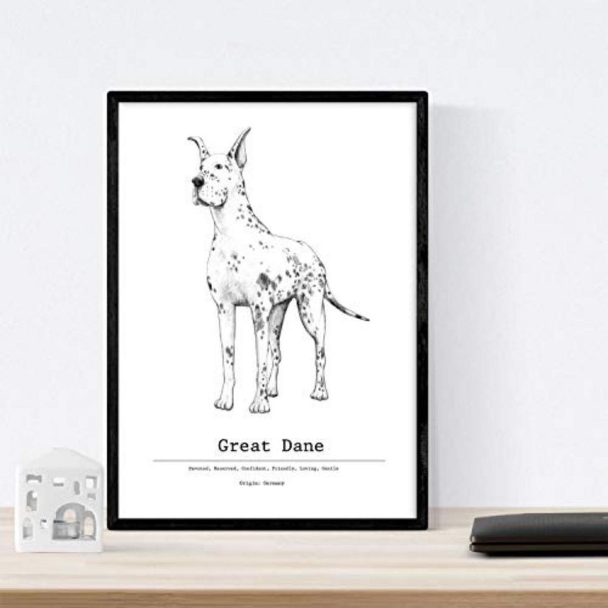 POSTER Set mit 4 Hunderasse A4 Schwarzer Rahmen - Schwarz, Papier (29.7/3cm) - Nacnic