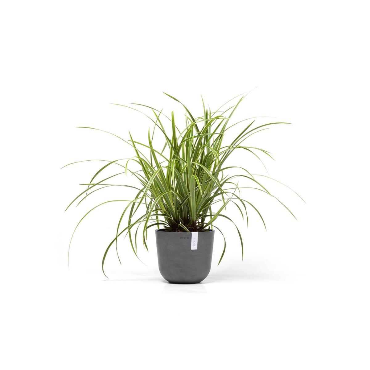 BLUMENTOPF Oslo Mini 19/16,5 cm Grau - Grau, Kunststoff (19/16.5cm) - Ecopots