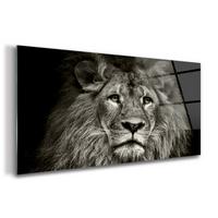 GLASBILD 140x70 cm Löwe Tier - Schwarz, Glas (140/70cm) - TULUP