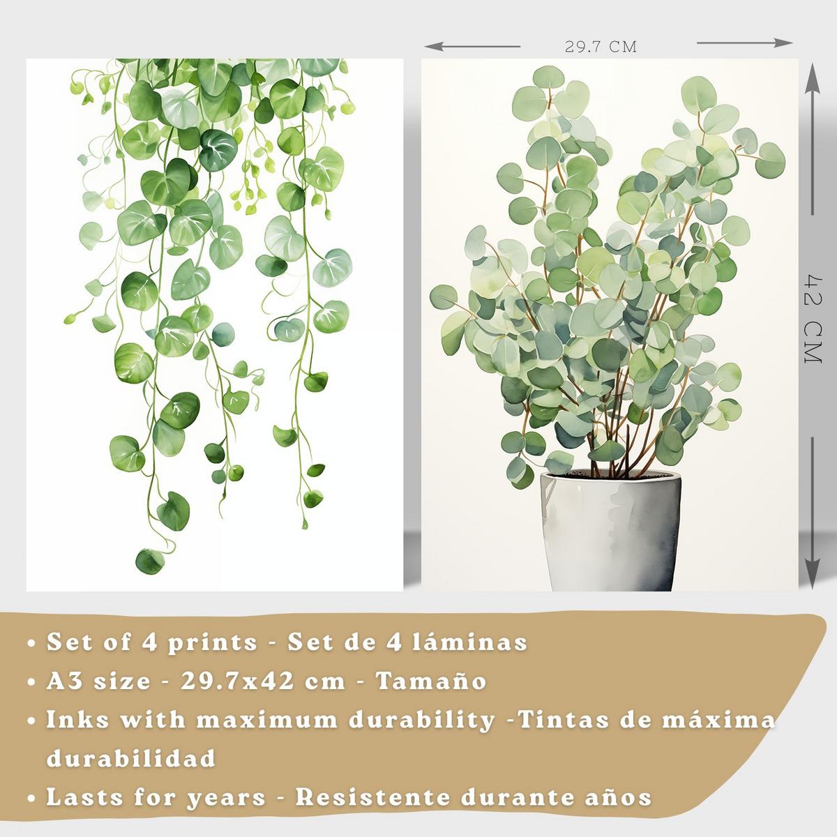 POSTER 4er Bilder-Set Wandbilder Boho Botanisch modern Wohnzimmer Deko, Schlafzimmer, Küche, Badezimmer Leichter Holzrahmen A3 - Beige, Papier (29.7/1/42cm) - Nacnic