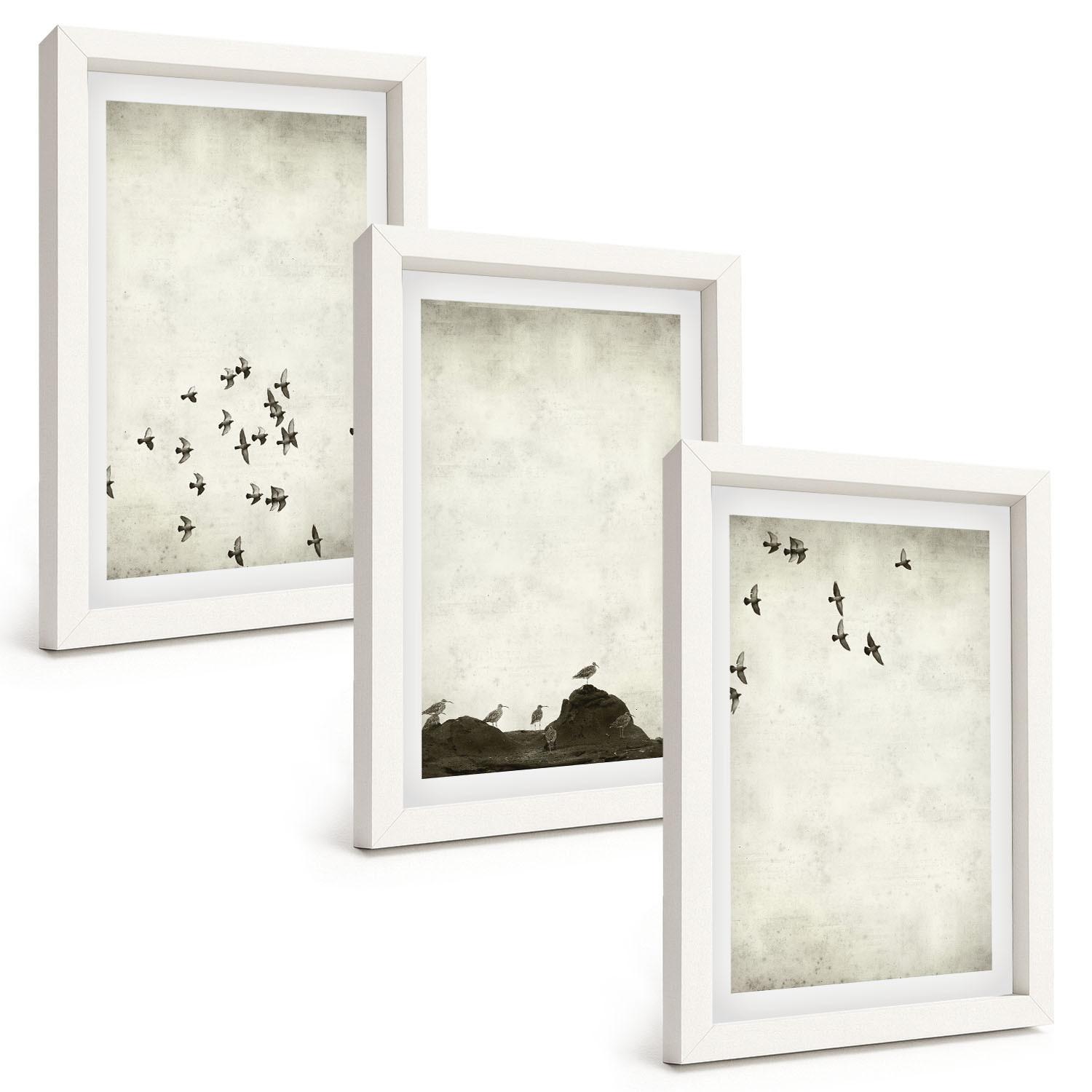 BILDER SET 3er Set - 20x30 cm Weißer Rahmen - Vögel im Flug, minimalistischer Stil - Weiß, Kunststoff (20/30cm) - TULUP