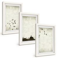 BILDER SET 3er Set - 20x30 cm Weißer Rahmen - Vögel im Flug, minimalistischer Stil - Weiß, Kunststoff (20/30cm) - TULUP