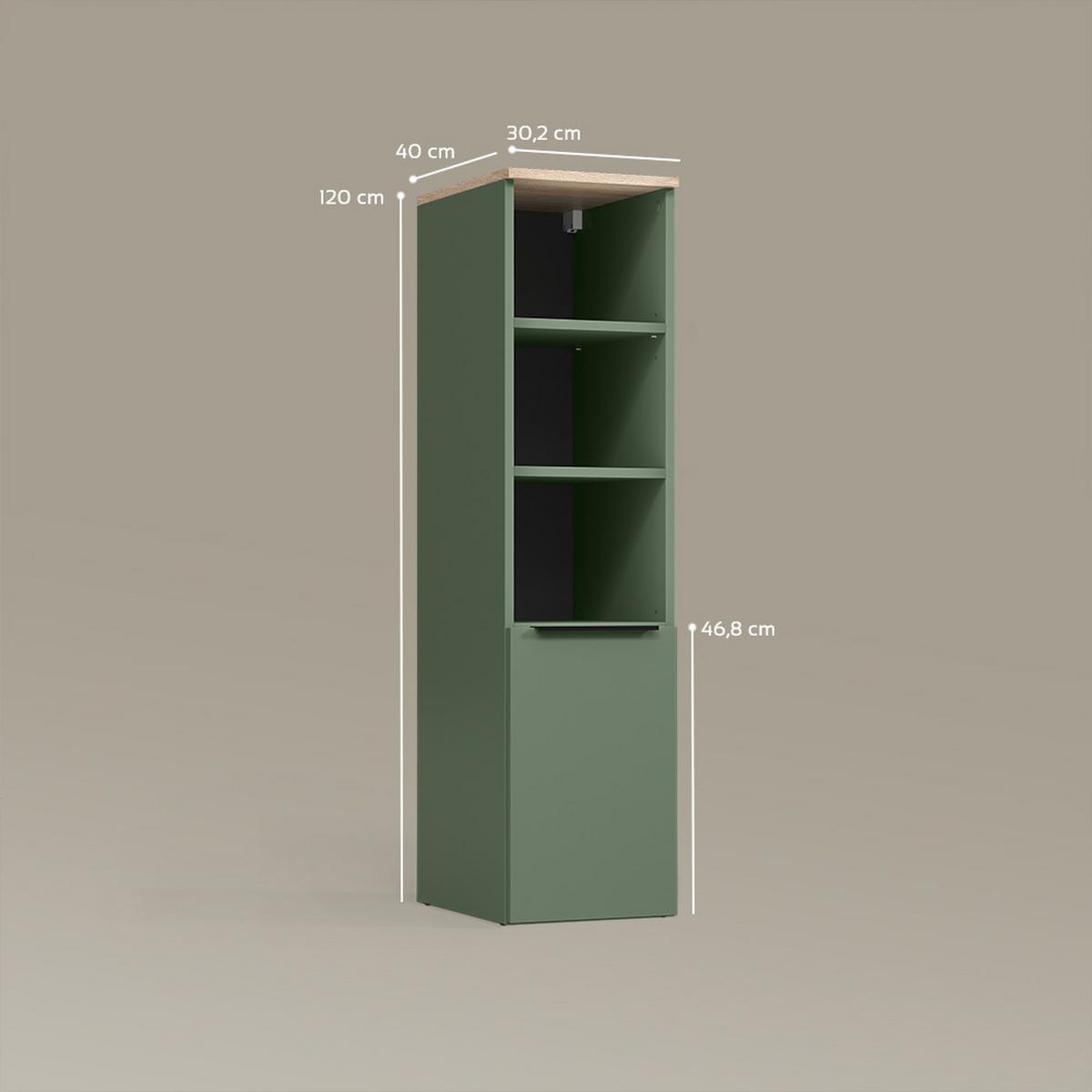 UNIVERSALSCHRANK Piave Grün mit einer Tür - Grün, Holzwerkstoff (30.2/120/40cm) - Livinity®