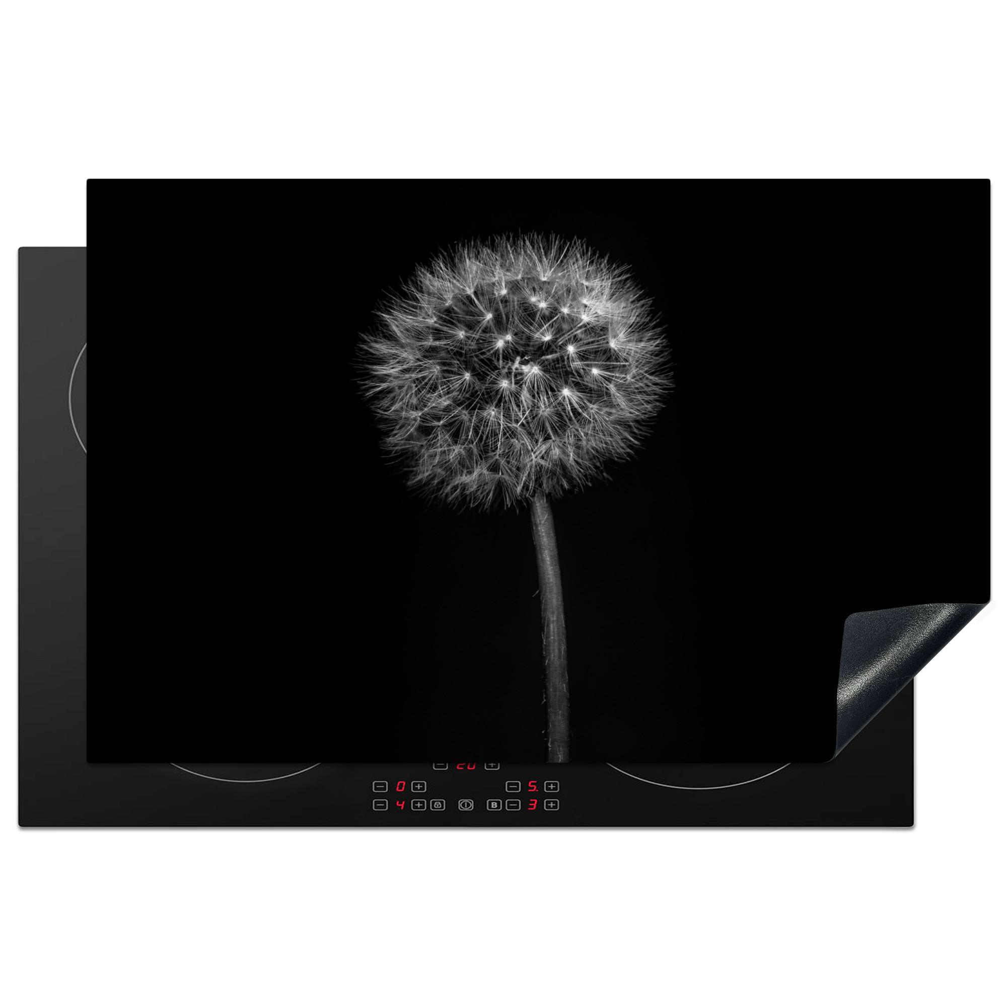 HERDABDECKPLATTE Löwenzahn - Schwarz - Floral - Botanisch Ceranfeldabdeckung 80x52 cm - Grau, Kunststoff (80/52/0.2cm) - MuchoWow