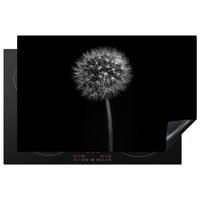 HERDABDECKPLATTE Löwenzahn - Schwarz - Floral - Botanisch Induktionsmatte 81x52 cm - Grau, Kunststoff (81/52/0.2cm) - MuchoWow