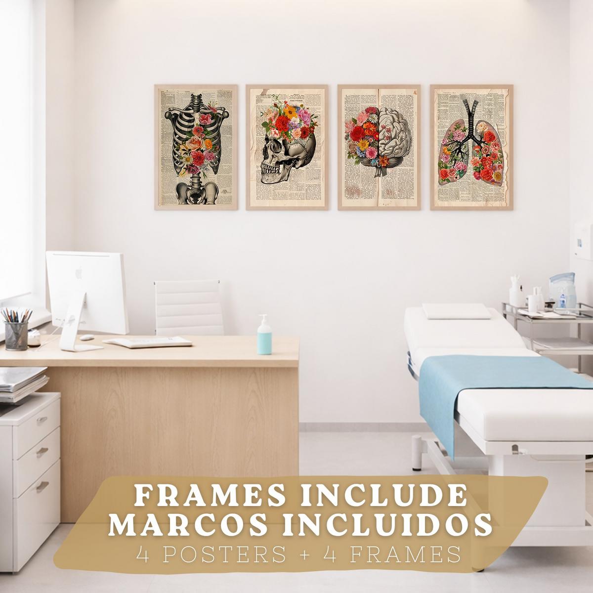 POSTER Set aus 4 Vintage Anatomie und Wandbilder mit Rippen Wirbelsäule Lungen Luftröhre Bronchien Gehirn und Schädel Größe Leichter Holzrahmen A4 - Beige, Papier (21/29.7/3cm) - Nacnic