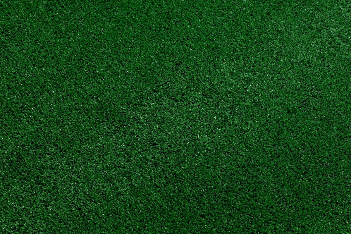 KUNSTRASEN SPRING Fertigmaß 100/250 cm - Pastellgrün, Textil (100/250cm) - rugsX