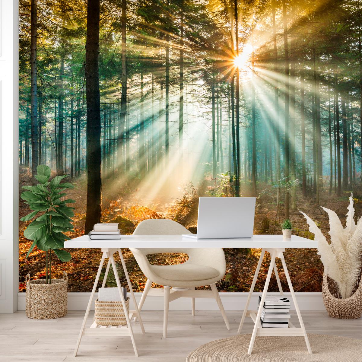 FOTOTAPETE für Wohnzimmer Herbstwald Sonnenuntergang Bäume Natur 300x210 - Beige/Gelb, Papier (300/210cm) - Muralo