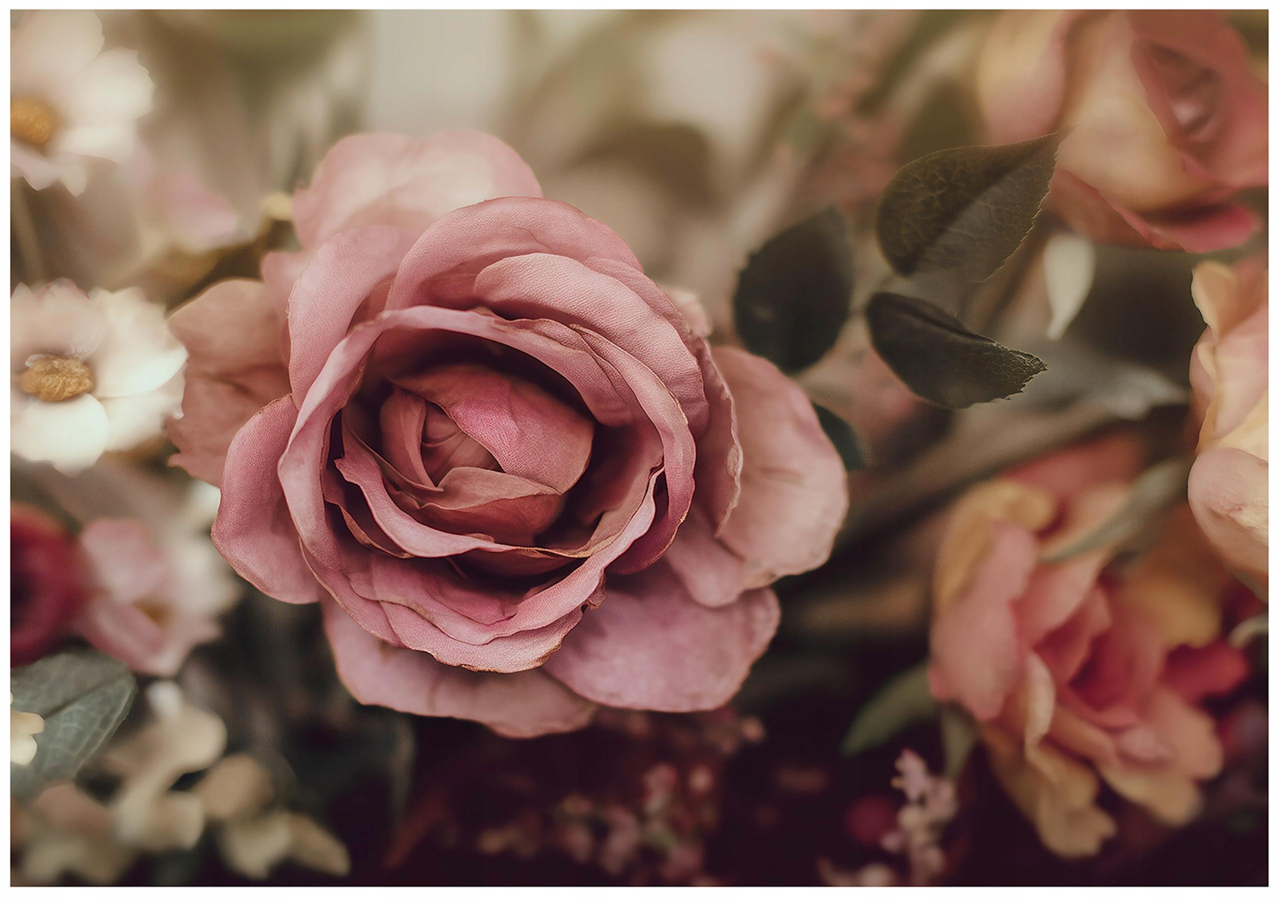 FOTOTAPETE Blumen Rosen Rosa 250x175 cm - Multicolor, Papier (250/175cm) - Wallarena
