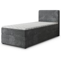 BOXBETT PISA 80 80x200 cm mit Matratze und Topper, H2+H3 - Graphitfarben - Graphitfarben, Holz (80/200cm) - MASSENO