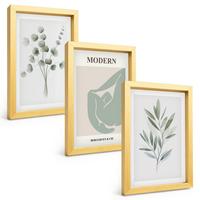 BILDER SET 3er Set - 20x30 cm Goldrahmen - Pflanzenmotive in Grün - Goldfarben, Kunststoff (20/30cm) - TULUP