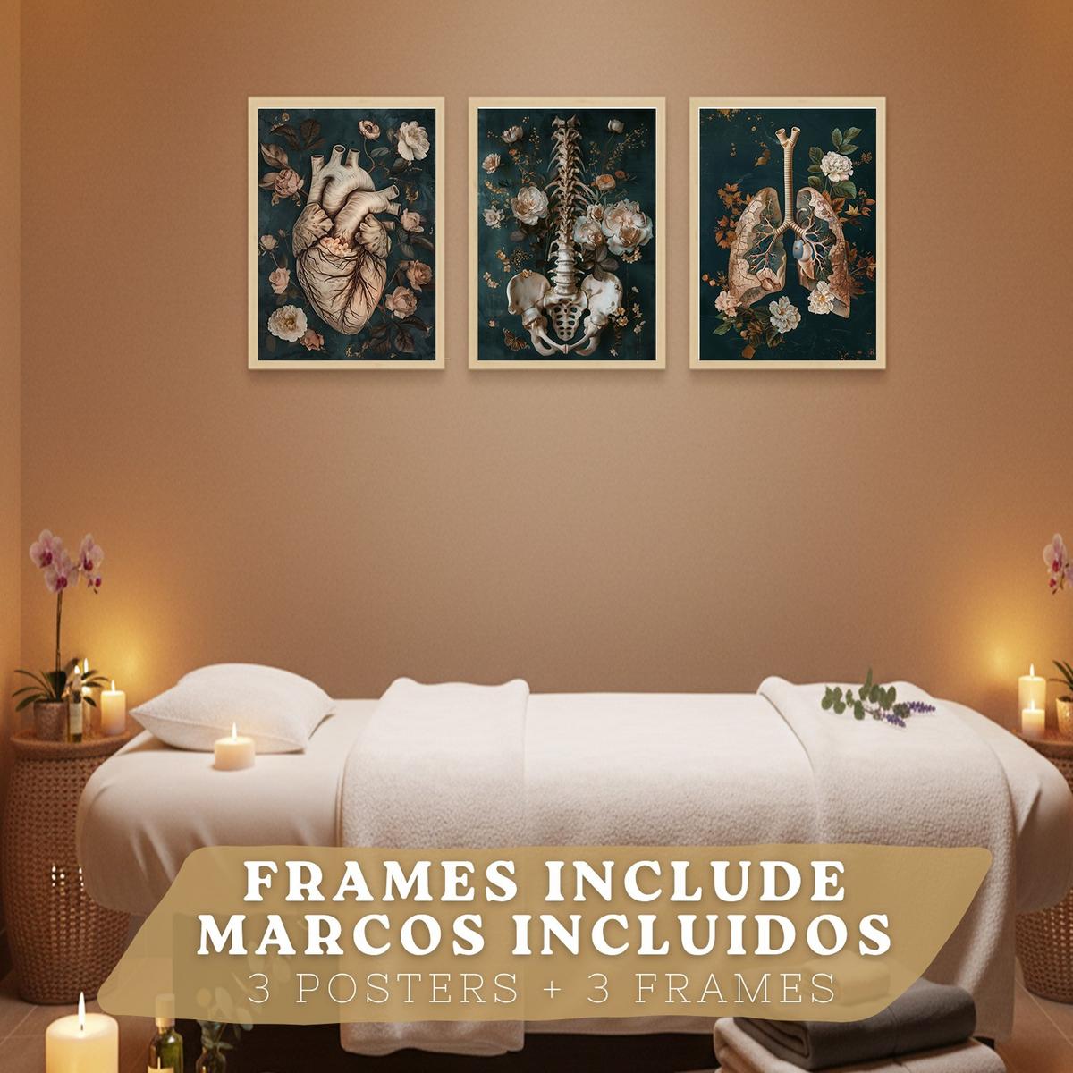 POSTER Set aus 3 Anatomie Mensch Drucke und Wandbilder mit Herz Atmungssystem und Skelett Botanischer Stil Wanddekoration Größe Leichter Holzrahmen A3 - Beige, Papier (29.7/42/3cm) - Nacnic