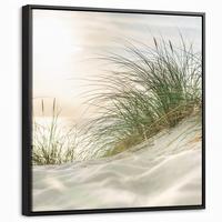 LEINWAND Bilder mit Rahmen - Dünen mit Strandhafer in der Sonne des Nationalparks Schleswig-Holsteinisches Wattenmeer - 50x50 - Creme, Textil (50/50cm) - MuchoWow