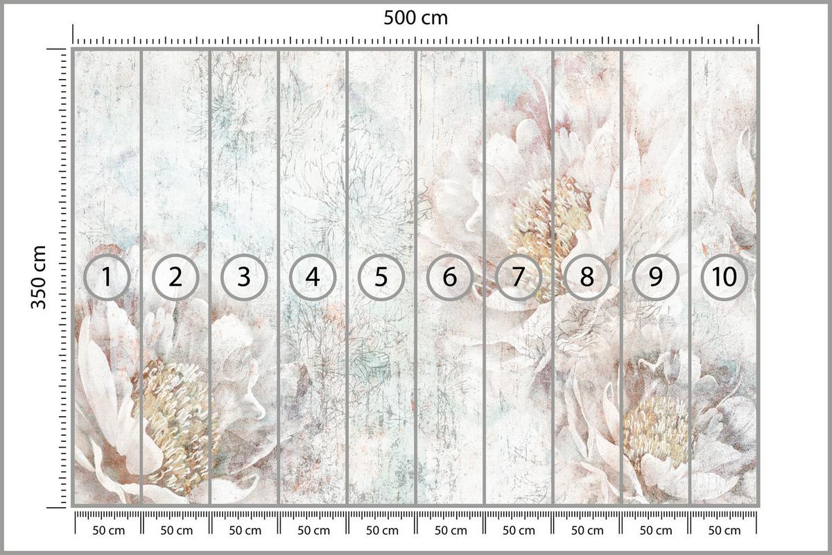 FOTOTAPETE für Büro Pfingstrosen Blumen Beton Vintage 500x350 - Gelb/Rosa, Papier (500/350cm) - Muralo