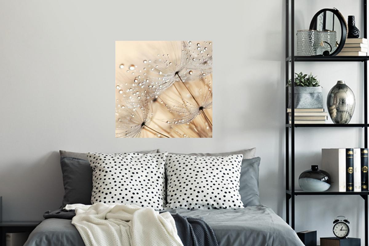 WANDTATTOO Löwenzahn - Abstrakt - Natur - Beige Wanddeko 50x50 cm - Braun, Kunststoff (50/50/0.1cm) - MuchoWow