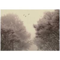 FOTOTAPETE Wald Bäume Beige 250x175 cm - Multicolor, Papier (250/175cm) - Wallarena