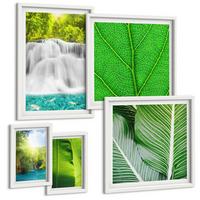 BILDER SET 5er Set - 50x50 cm & 20x30 cm & 40x60 cm Weißer Rahmen - Nahaufnahme von tropischen Blättern - Weiß, Kunststoff (40/60cm) - TULUP
