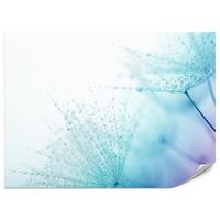 FOTOTAPETE für Badezimmer Leuchtende Löwenzahnblüten Wassertropfen Blau 200x140 - Türkis/Blau, Papier (200/140cm) - Muralo