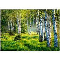FOTOTAPETE Wald Baume Vliestapete Tapete 200x140 - Multicolor, Papier (200/140cm) - Wallarena