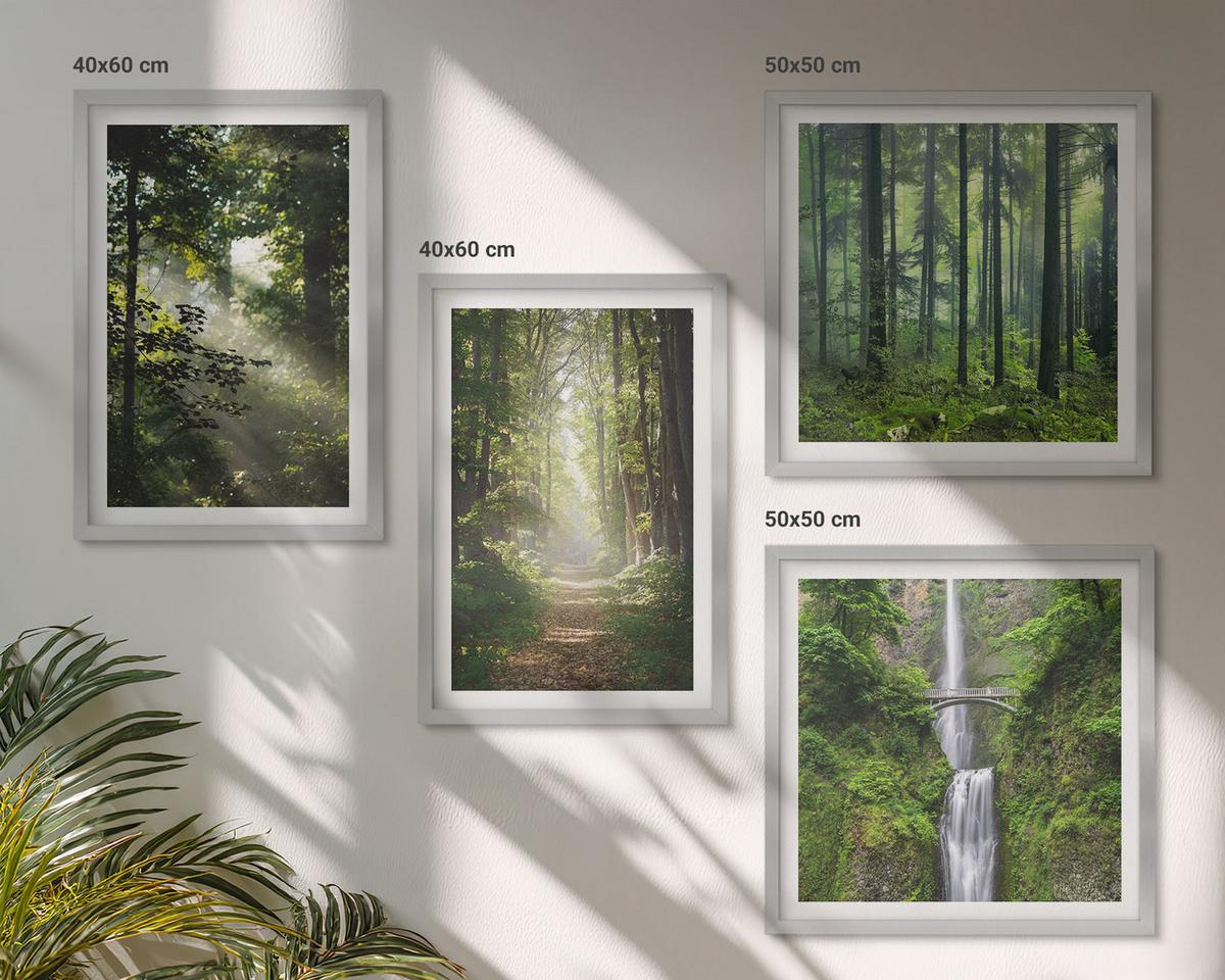 BILDER SET 4er Set - 50x50 cm & 40x60 cm Silberner Rahmen - Grüne Wälder, Lichtstrahlen - Silberfarben, Kunststoff (50/50cm) - TULUP