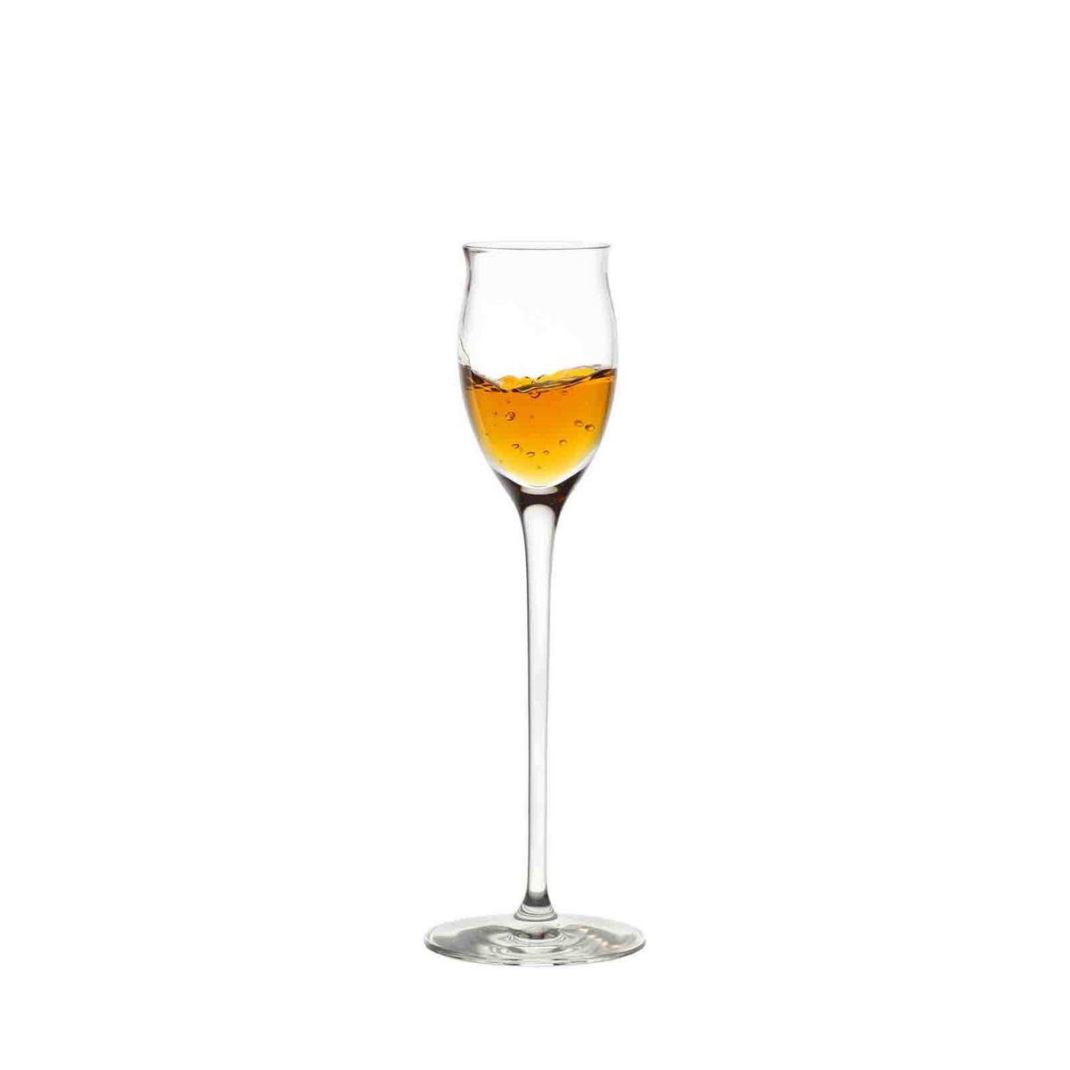 EDELBRANDGLÄSER Quatrophil transparent 65 ml 6er Set - Transparent, Glas (0.065L) - Stölzle Lausitz
