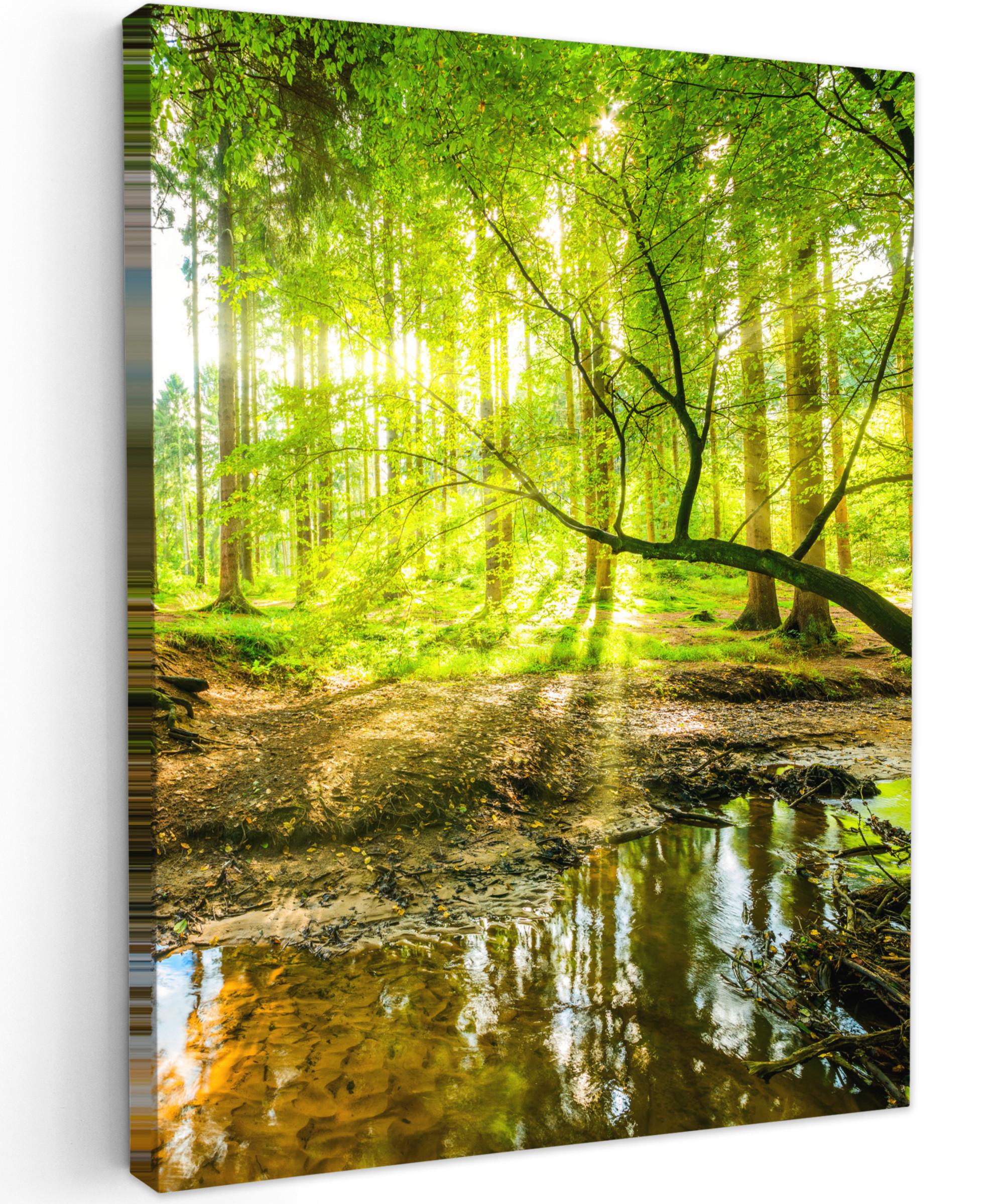 LEINWANDBILD Wald - Landschaft - Wasser - Bäume - Sonne - Grün - Natur Wandbild Wohnzimmer 60x80 cm - Grün, Textil (60/80cm) - MuchoWow