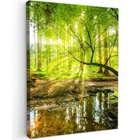 LEINWANDBILD Wald - Landschaft - Wasser - Bäume - Sonne - Grün - Natur Wandbild Wohnzimmer 60x80 cm - Grün, Textil (60/80cm) - MuchoWow