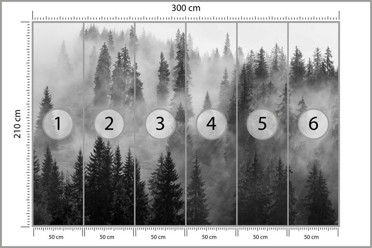 FOTOTAPETE Schwarz-weißer Wald im Nebel Natur 300x210 - Schwarz/Grau, Papier (300/210cm) - Muralo