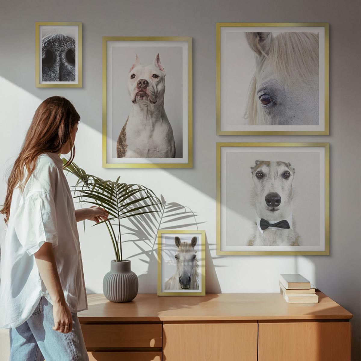 BILDER SET 5er Set - 50x50 cm & 20x30 cm & 40x60 cm Goldrahmen - Elegante Porträts von Hunden und Pferden - Goldfarben, Kunststoff (40/60cm) - TULUP