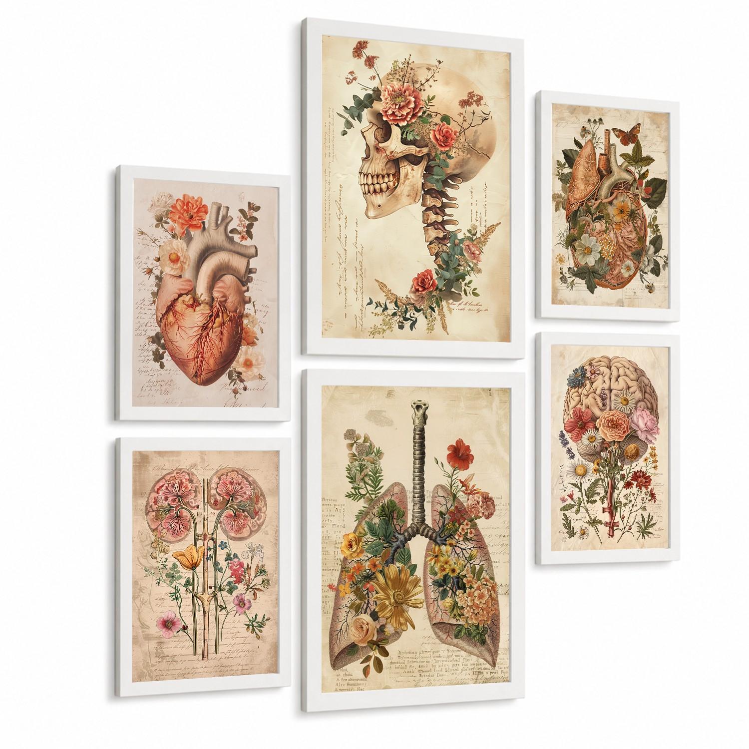 POSTER Set aus 6 Botanische Anatomie Drucke mit Herz Lungen Wirbelsäule Becken und Rippen Beige Terrakotta Erdtöne Florales Weißer Rahmen A3 & A4 - Weiß, Papier (29.7/42/3cm) - Nacnic