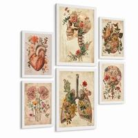 POSTER Set aus 6 Botanische Anatomie Drucke mit Herz Lungen Wirbelsäule Becken und Rippen Beige Terrakotta Erdtöne Florales Weißer Rahmen A3 & A4 - Weiß, Papier (29.7/42/3cm) - Nacnic