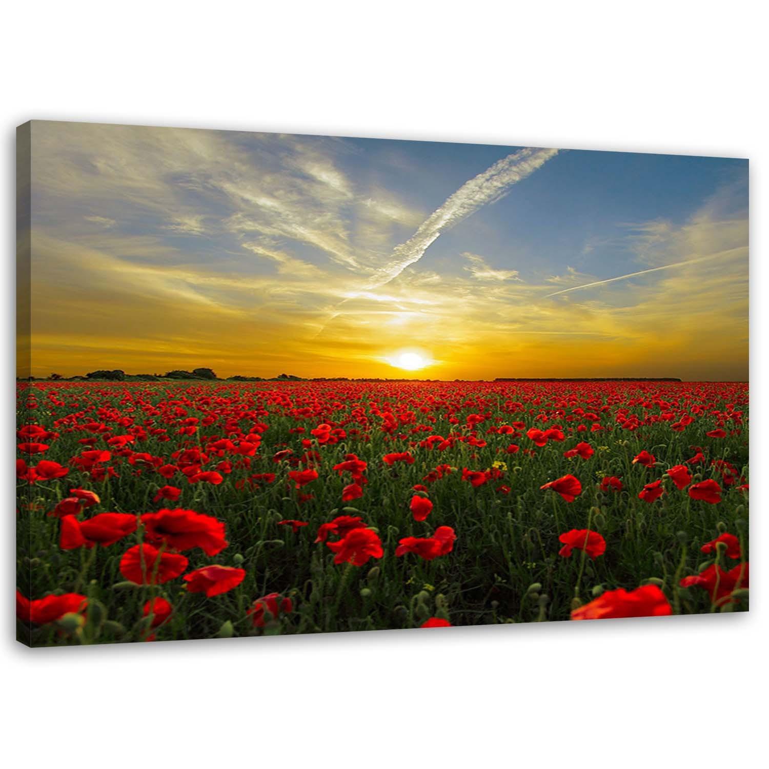 LEINWANDBILD Wiese voller roter Mohnblumen in der Sonne 120x80cm - Multicolor, Textil (120/80cm) - Feeby