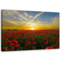 LEINWANDBILD Wiese voller roter Mohnblumen in der Sonne 120x80cm - Multicolor, Textil (120/80cm) - Feeby