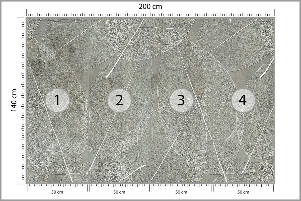 FOTOTAPETE für Schlafzimmer Weiße Blätter auf Beton 200x140 - Weiß/Grau, Papier (200/140cm) - Muralo