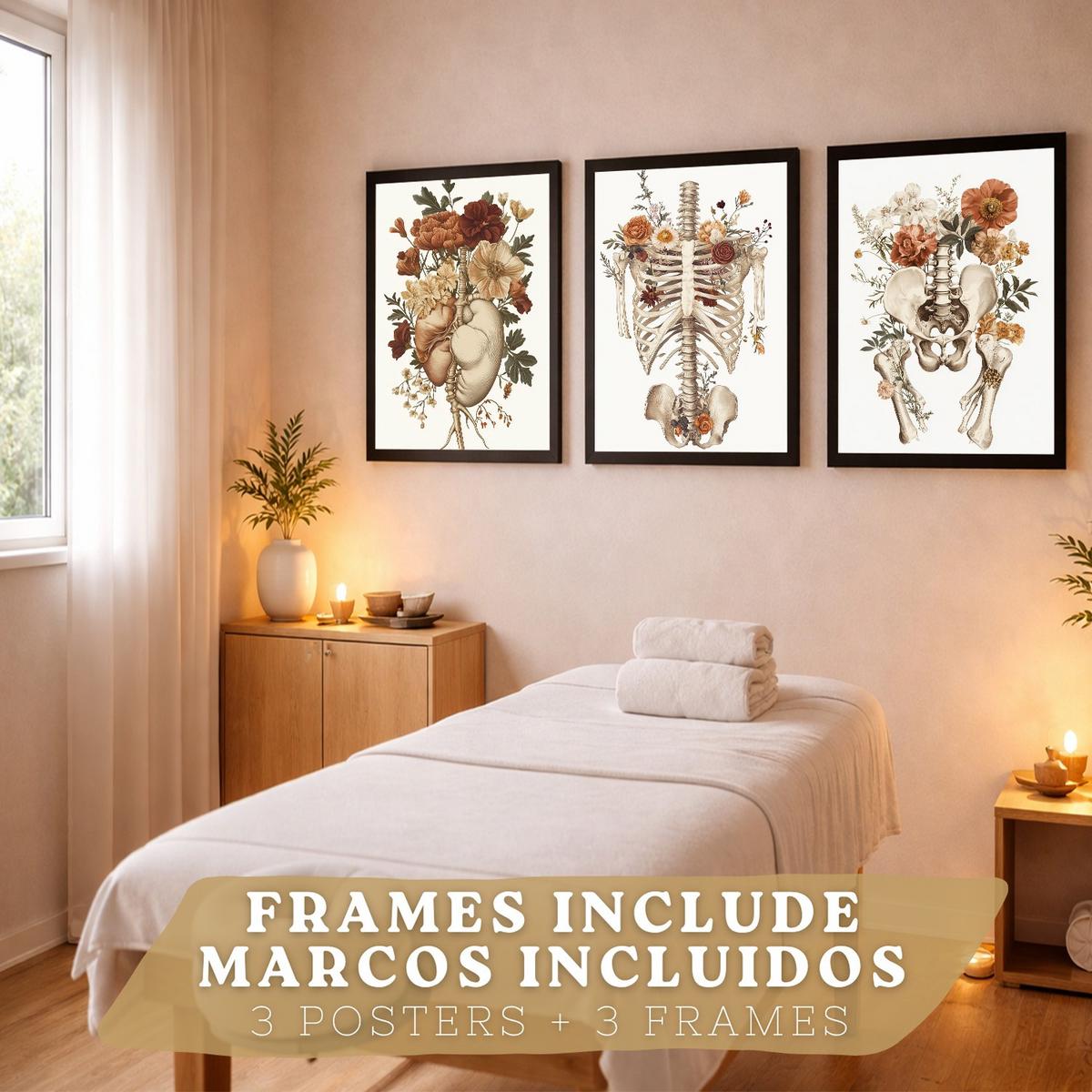 POSTER Set aus 3 Anatomie Mensch Florale Vintage Drucke und Wandbilder mit Herz Brustkorb und Becken Wanddekoration Größe Schwarzer Rahmen A3 - Schwarz, Papier (29.7/42/3cm) - Nacnic