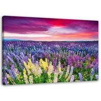BILD AUF LEINWAND Blühende Wiese 90x60cm - Violett, Textil (90/60cm) - Feeby