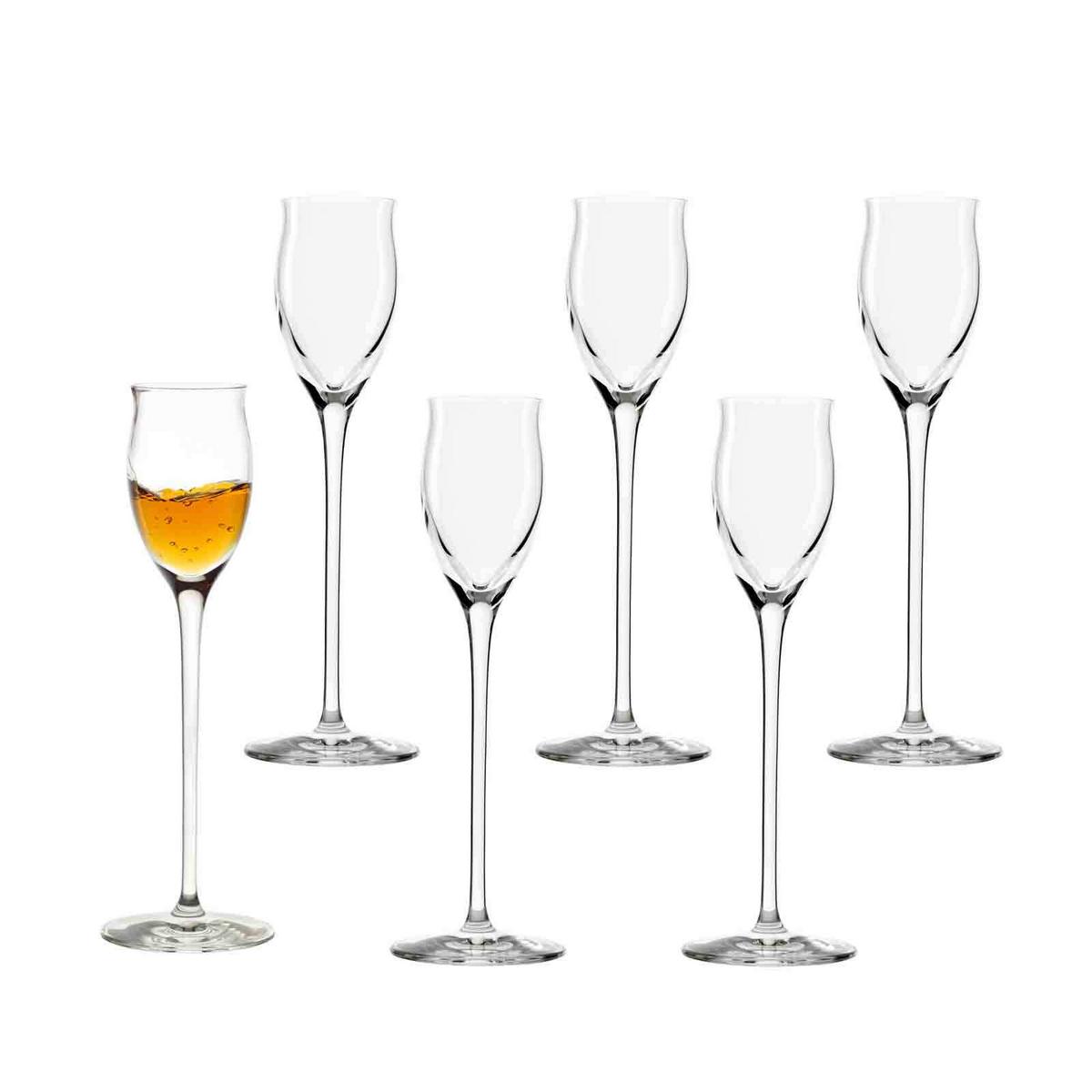 WEIN- UND SEKTGLÄSER Quatrophil transparent 30-tlg. - Transparent, Glas - Stölzle Lausitz