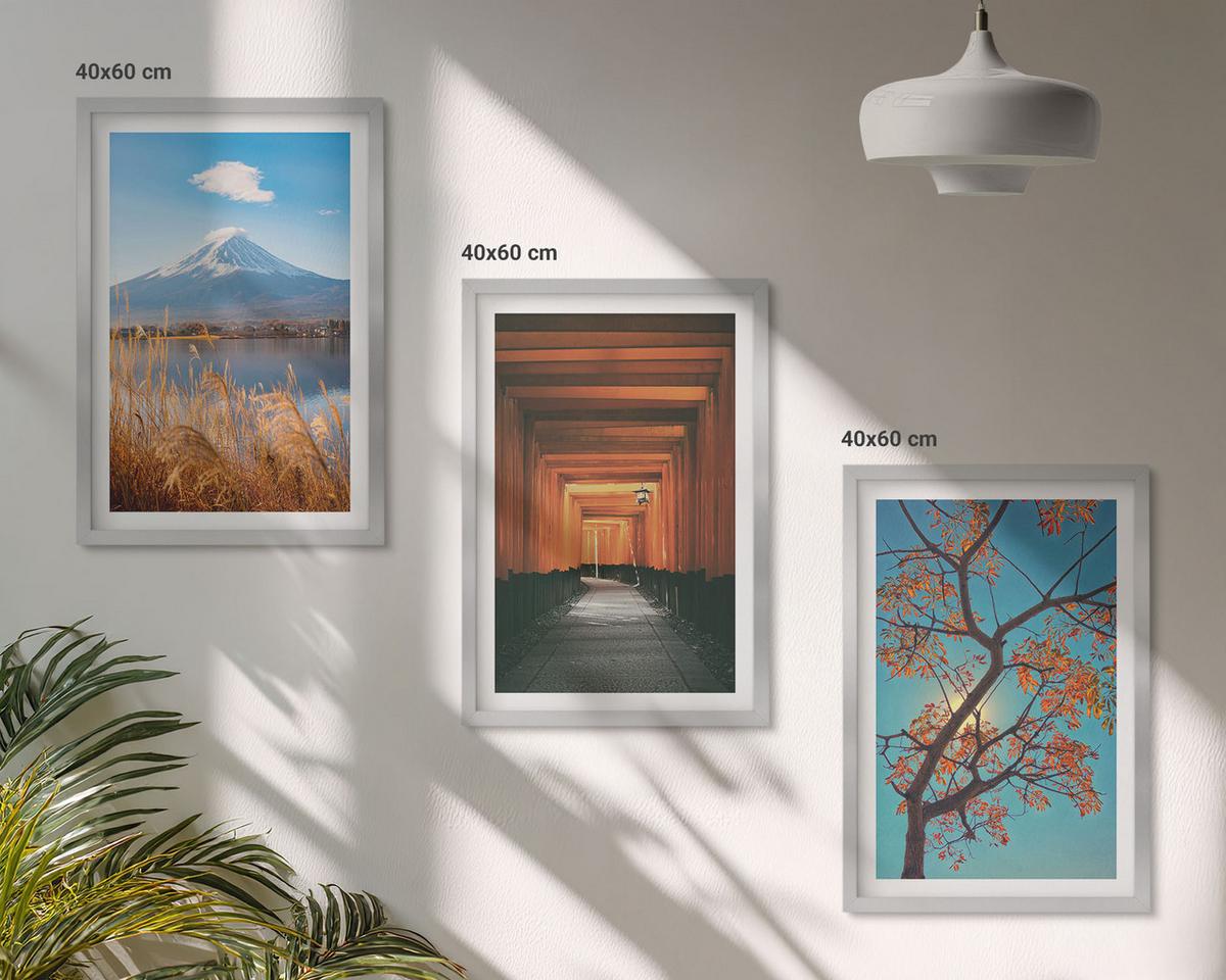 BILDER SET 3er Set - 40x60 cm Silberner Rahmen - Japanische Naturlandschaften - Silberfarben, Kunststoff (40/60cm) - TULUP