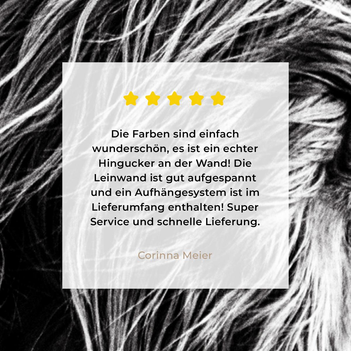 LEINWANDBILD Kuh - Schottischer Hochländer - Schwarz - Weiß - Tier - Natur - Wildtiere Deko Wohnzimmer 20x30 cm - Schwarz, Textil (20/30cm) - MuchoWow